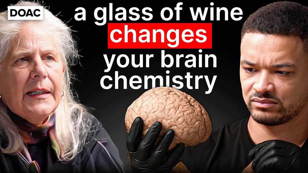 No.1 Brain Scientist: Your Brain Is Lying To You! Here's How I Discovered The Truth!